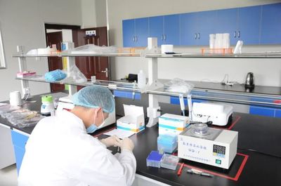 黃梅縣市場監督管理局食品快檢服務中心11月22日-26日檢測結果公示