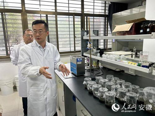 東華科技媒體開放日 新材料技術研發(fā)引領行業(yè)新篇章